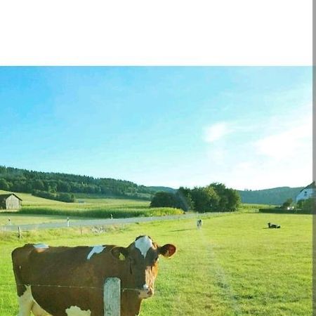 4 Erw. 1 Ki. Ski Entspannung Terasse Ausblick Schmallenberg Bagian luar foto