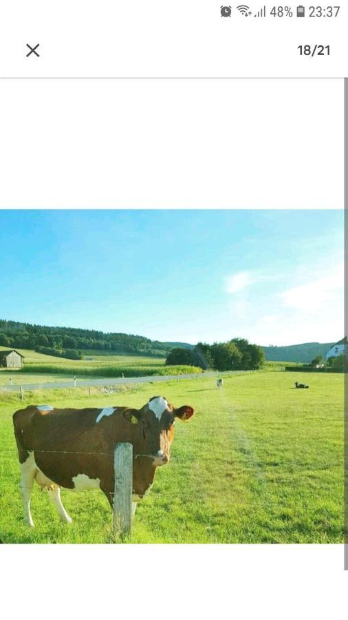 4 Erw. 1 Ki. Ski Entspannung Terasse Ausblick Schmallenberg Bagian luar foto
